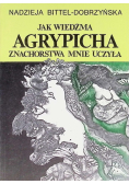 Jak wiedźma Agrypicha znachorstwa mnie uczyła