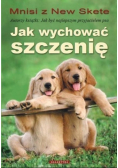 Jak wychować szczenię