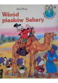 Wśród piasków Sahary