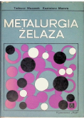 Metalurgia żelaza