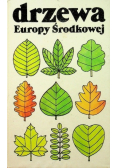 Drzewa Europy Środkowej