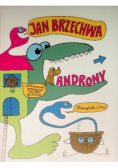 Androny