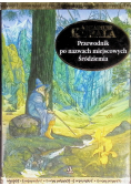 Przewodnik po nazwach miejscowych Śródziemia