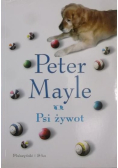 Psi żywot