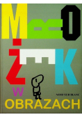 Mrożek w obrazach