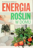 Energia roślin w domu