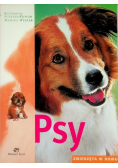 Psy