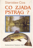 Co zjada pstrąg