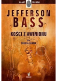 Kości z Awinionu