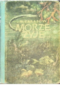 Morze żyje