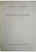 Geometria poglądowa