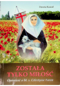 Została tylko miłość