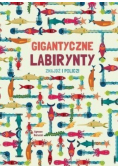 Gigantyczne labirynty Znajdź i policz