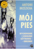 Mój pies