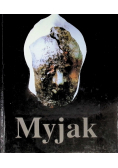 Myjak Rzeźba