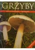 Grzyby Rozpoznawanie i zbieranie