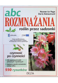 ABC rozmnażania roślin przez sadzonki
