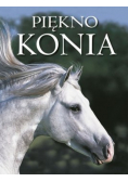 Piękno konia