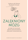 Zalękniony mózg