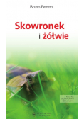 Skowronek i Żółwie
