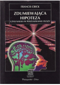 Zdumiewająca hipoteza