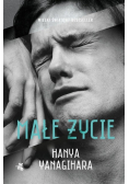 Małe życie