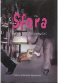 Roma i Amor historia prawdziwa