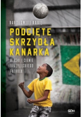 Podcięte skrzydła kanarka