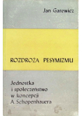 Rozdroża pesymizmu