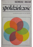 Spółdzielczość