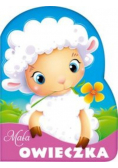 Mała owieczka
