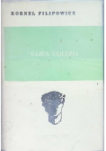 Ulica Gołębia