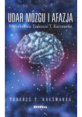 Udar mozgu i afazja