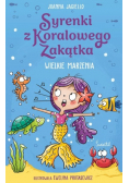 Wielkie marzenia. Syrenki z Koralowego Zakątka. Tom 1