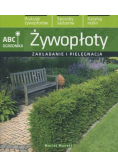 Żywopłoty zakładanie i pielęgnacja