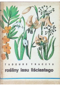 Rośliny lasu liściastego