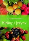 Maliny i jeżyny