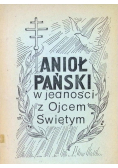 Anioł Pański w jedności z Ojcem Świętym