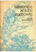 Tajemnice kolonii zuchowej