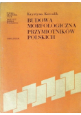 Budowa morfologiczna przymiotników polskich