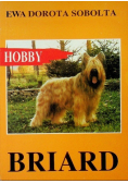Hobby Briard