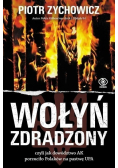 Wołyń zdradzony czyli jak dowództwo AK porzuciło Polaków na pastwę UPA