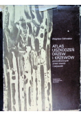 Atlas uszkodzeń drzew i krzewów