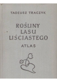 Rośliny lasu liściastego. Atlas