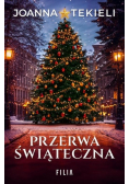 Przerwa świąteczna