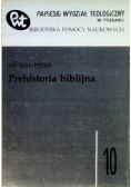 Prehistoria biblijna Tom 10