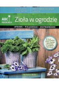 Zioła w ogrodzie