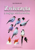 Zwierzęta z mojego szkicownika