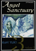 Angel Sanctuary Tom 3