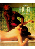 Harlem i jego sekrety